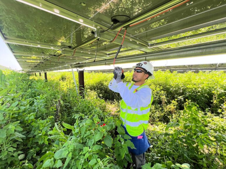 Joint Force Training Los Alamitos Website 3
